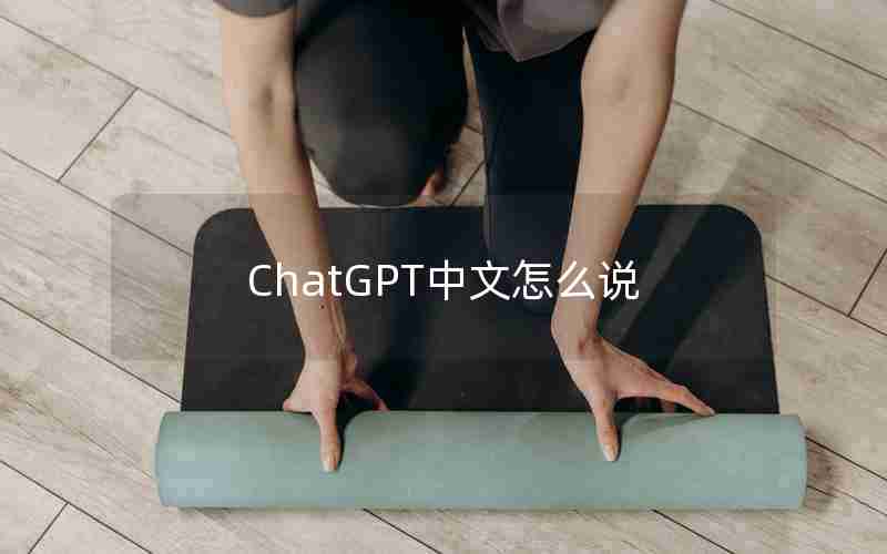 ChatGPT中文怎么说