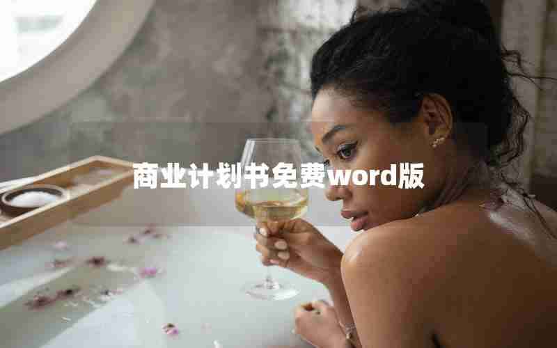 商业计划书免费word版