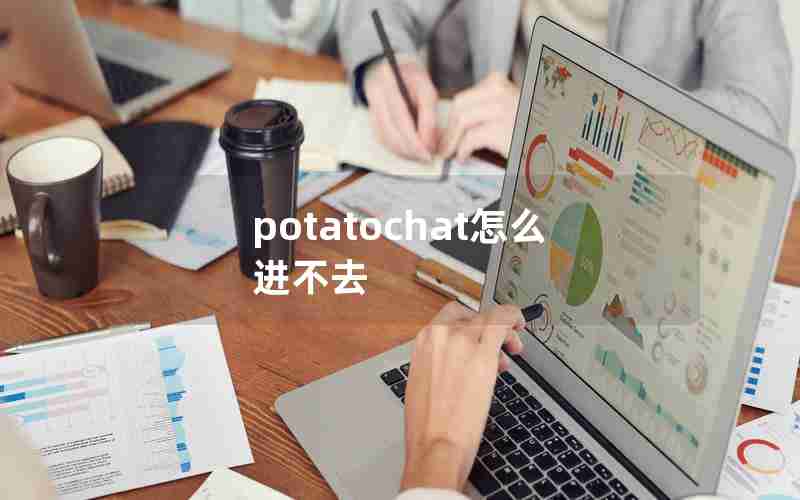 potatochat怎么进不去