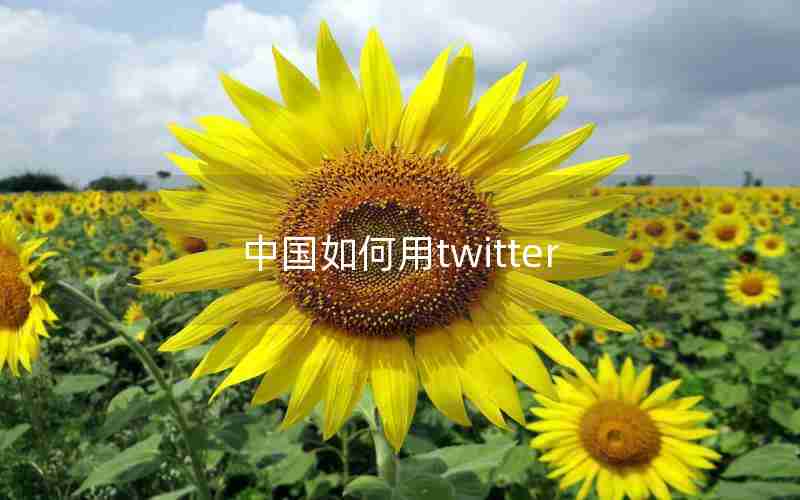 中国如何用twitter