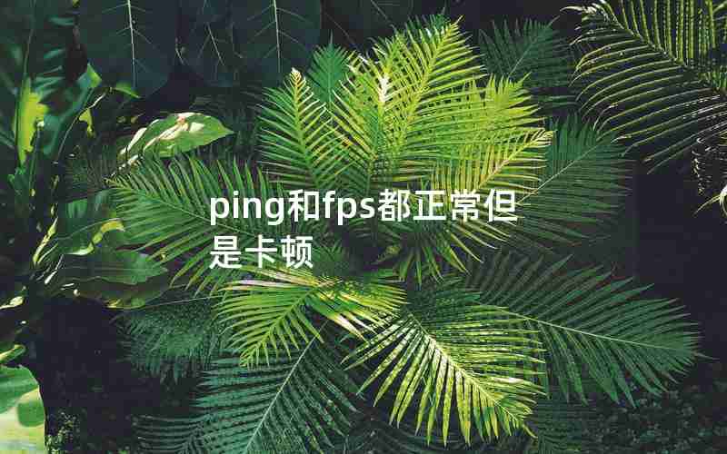 ping和fps都正常但是卡顿