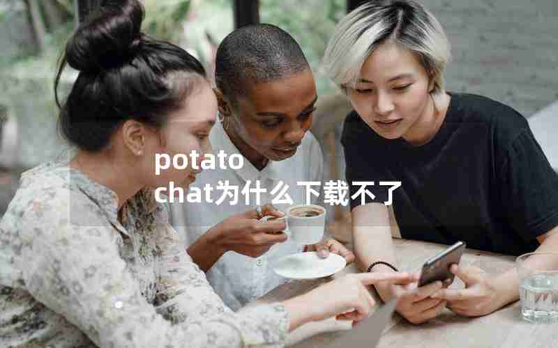 potato chat为什么下载不了