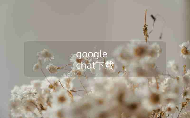 google chat下载