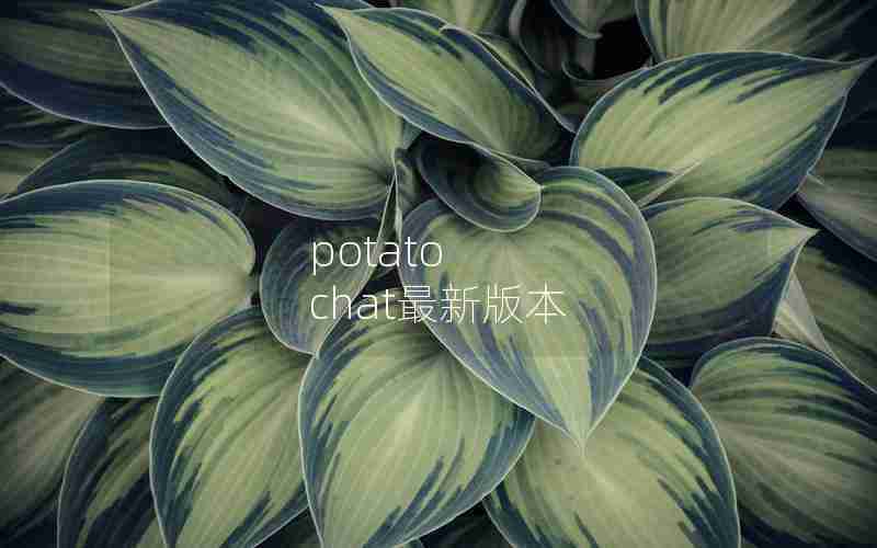 potato chat最新版本