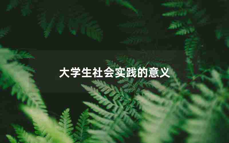 大学生社会实践的意义