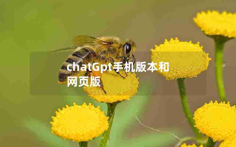 chatGpt手机版本和网页版