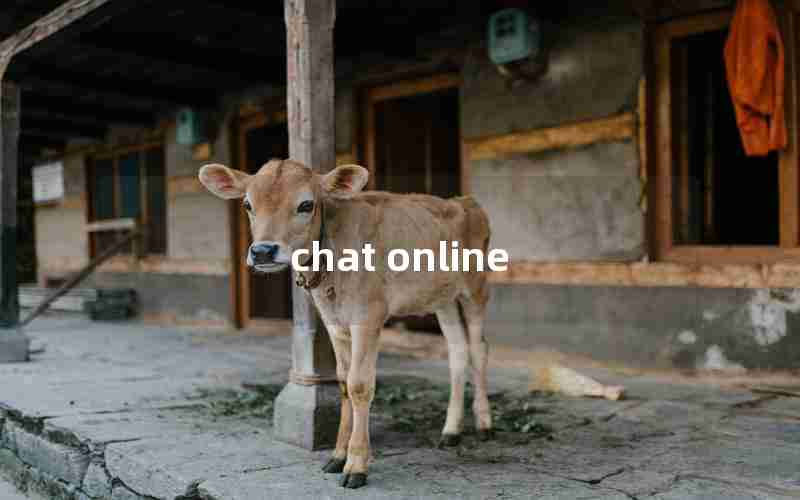 chat online