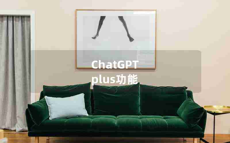 ChatGPT plus功能