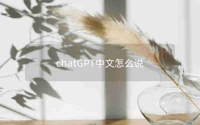 chatGPT中文怎么说