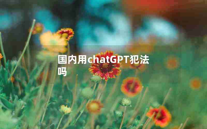 国内用chatGPT犯法吗