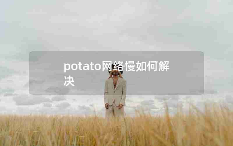 potato网络慢如何解决