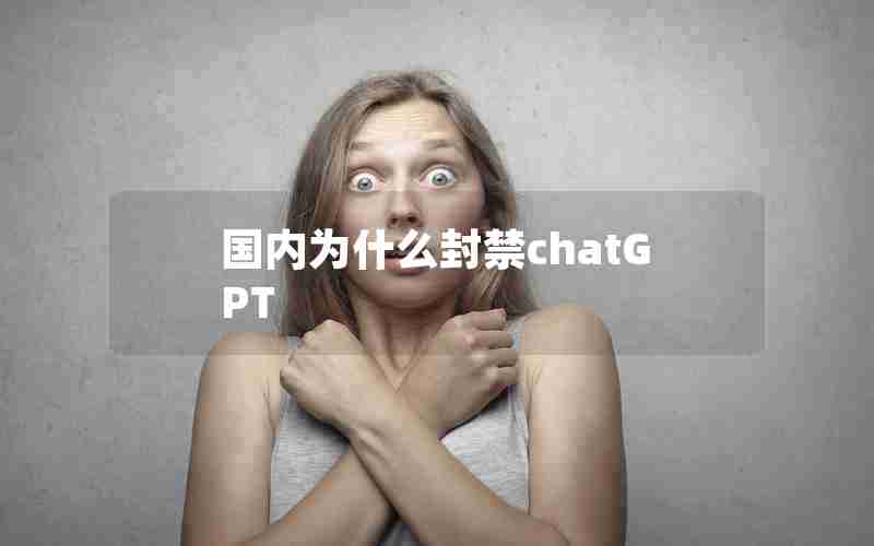 国内为什么封禁chatGPT;ChatGPT账号多少钱一个