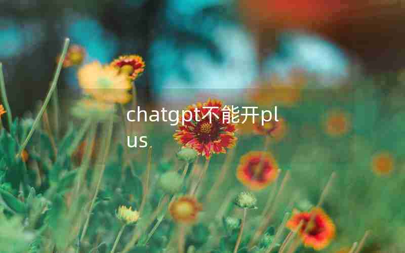 chatgpt不能开plus—中国怎么用CHATGPT