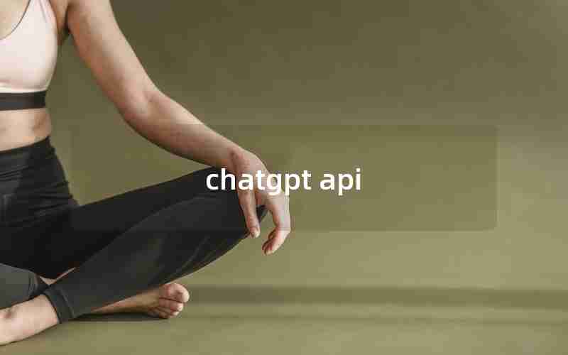 chatgpt api