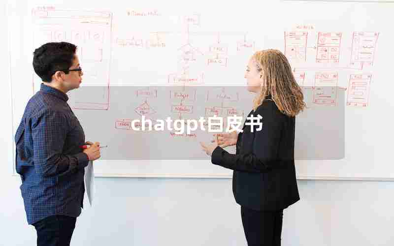 chatgpt白皮书(chatGPT的电子书下载)