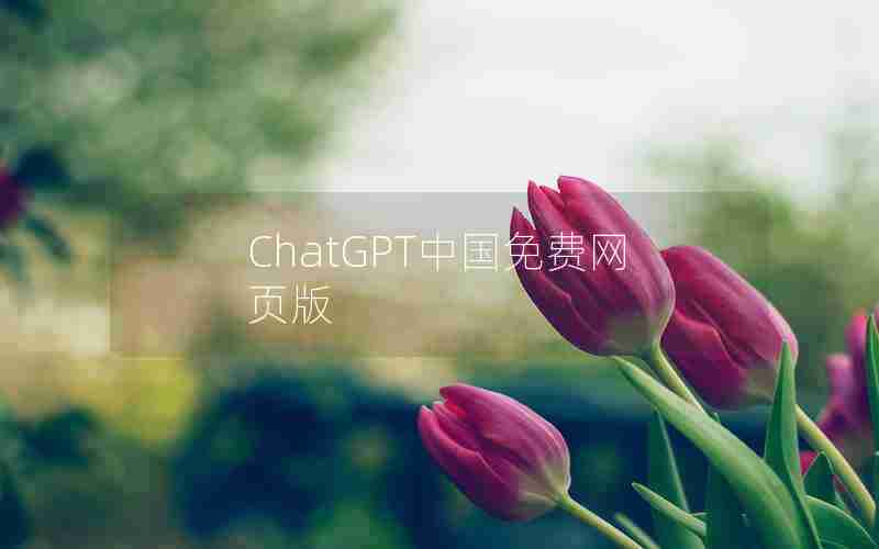 ChatGPT中国免费网页版