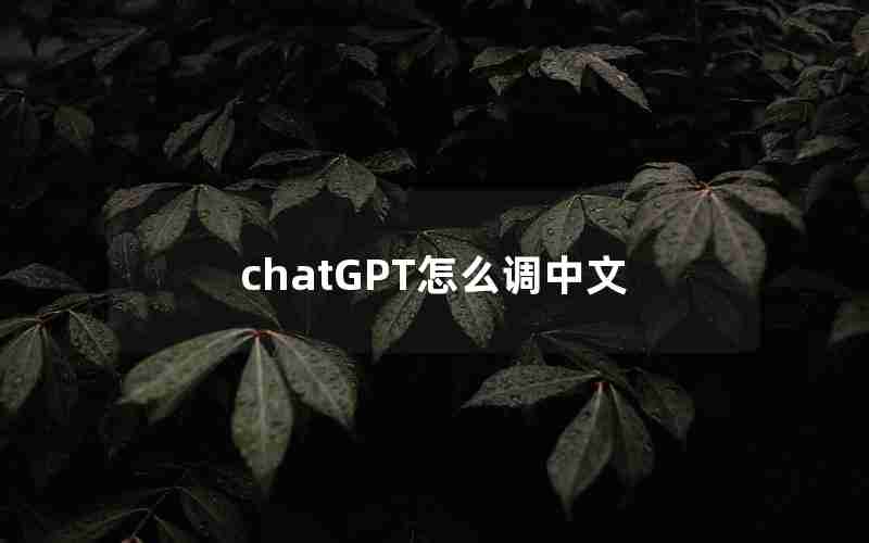 chatGPT怎么调中文