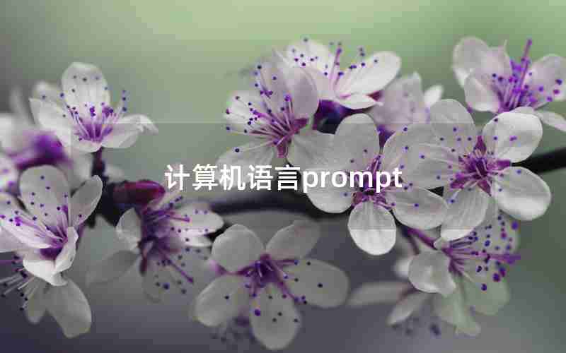 计算机语言prompt