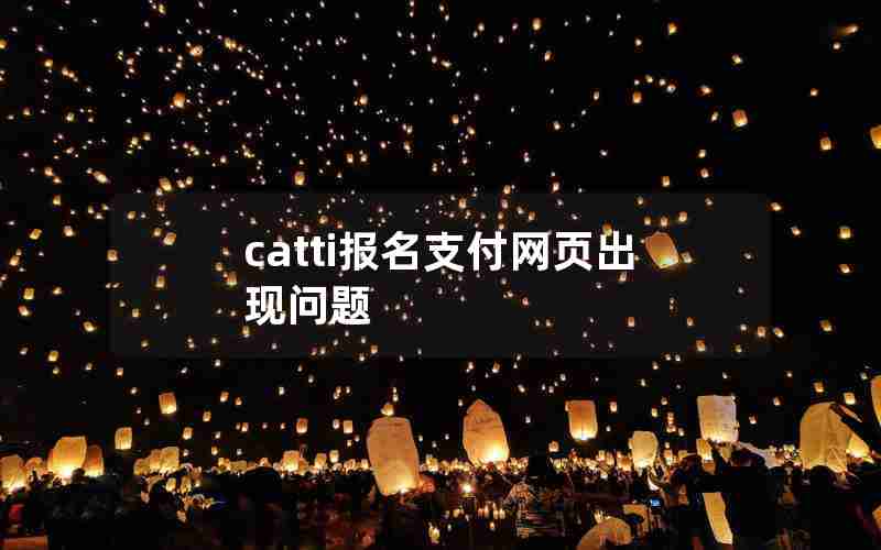 catti报名支付网页出现问题