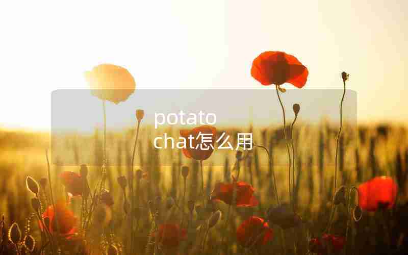 potato chat怎么用