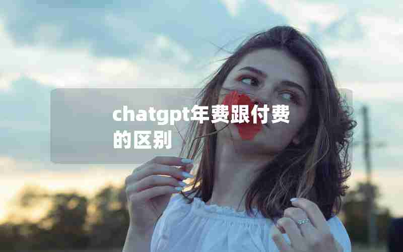 chatgpt年费跟付费的区别