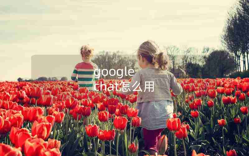 google chat怎么用