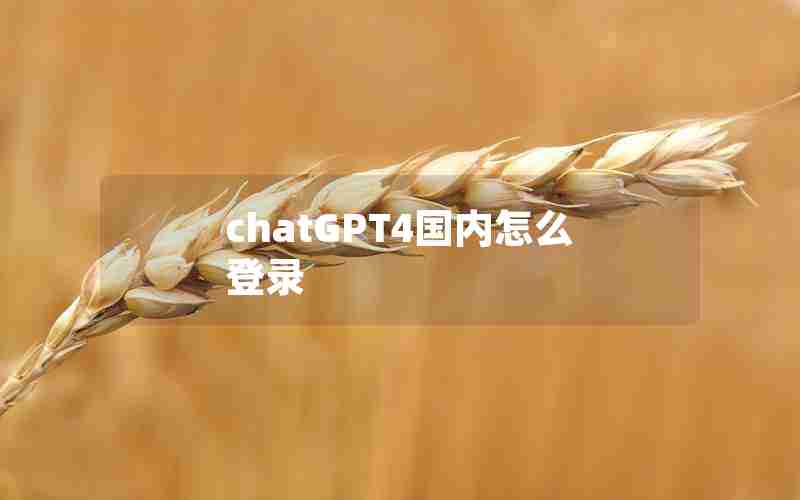 chatGPT4国内怎么登录