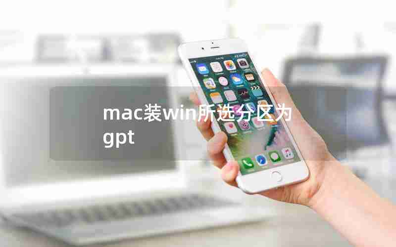 mac装win所选分区为gpt