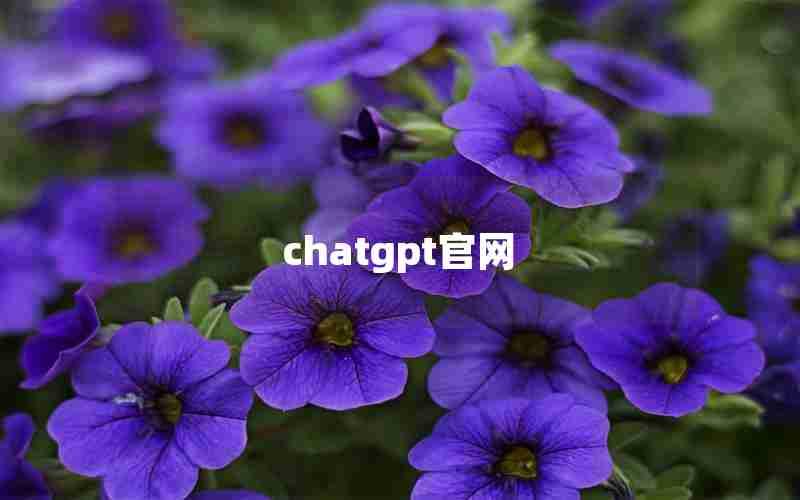 chatgpt官网