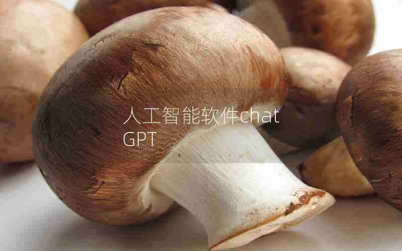 人工智能软件chat GPT