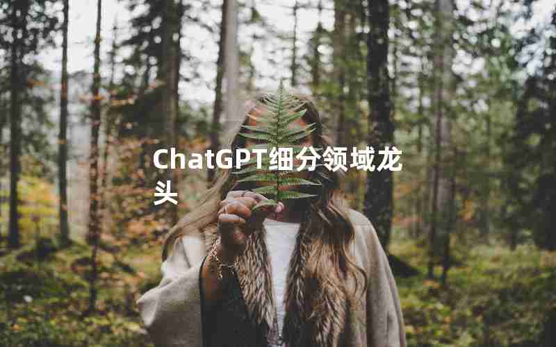 ChatGPT细分领域龙头