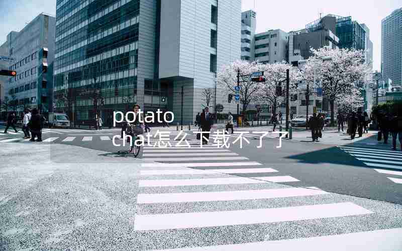 potato chat怎么下载不了了