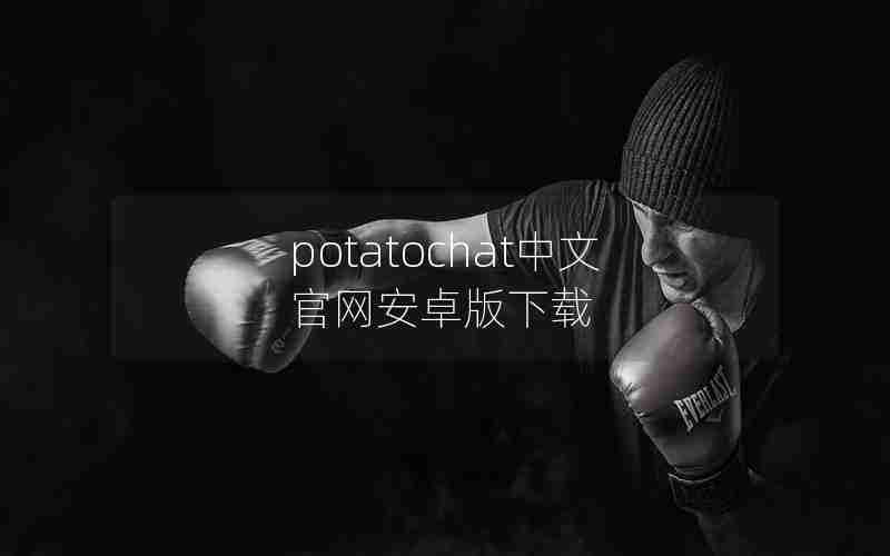 potatochat中文官网安卓版下载