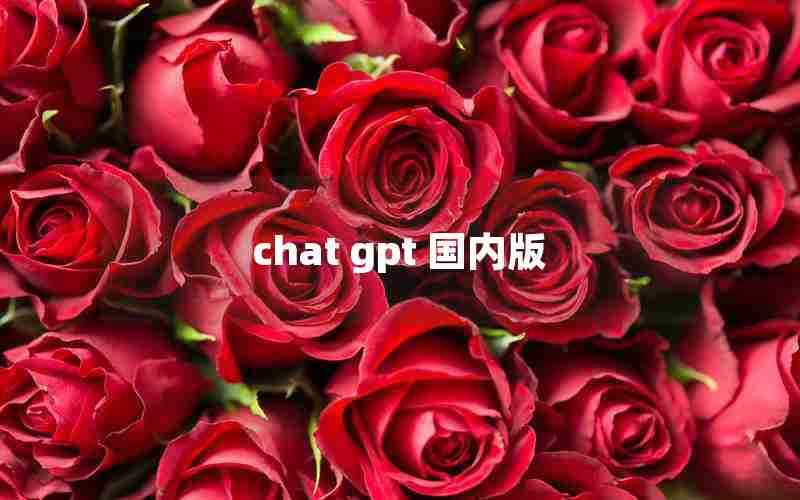 chat gpt 国内版