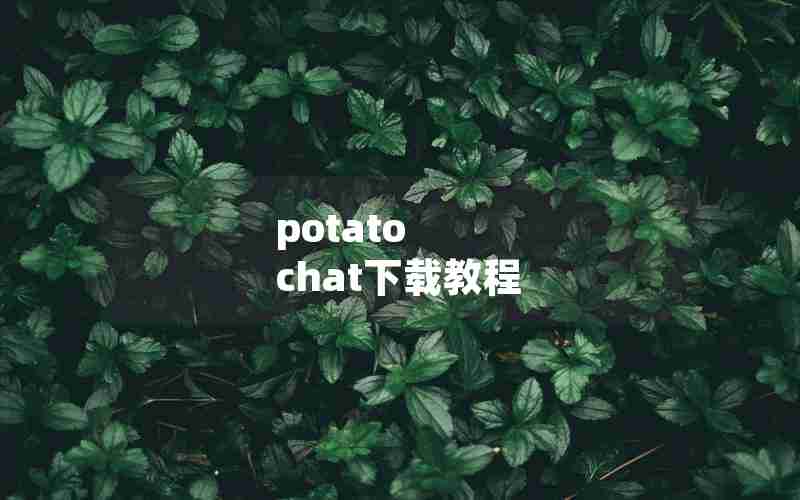 potato chat下载教程