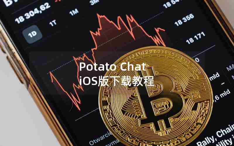 Potato Chat iOS版下载教程