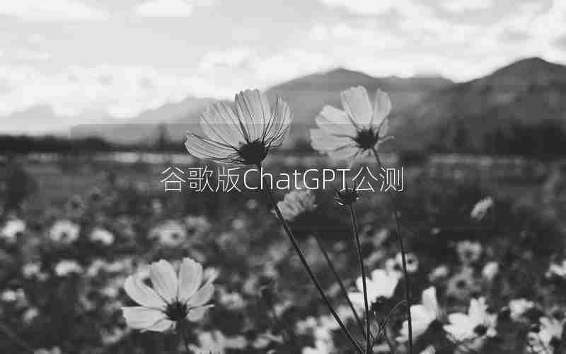 谷歌版ChatGPT公测