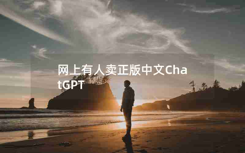 网上有人卖正版中文ChatGPT