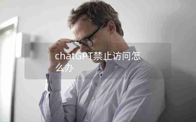 chatGPT禁止访问怎么办