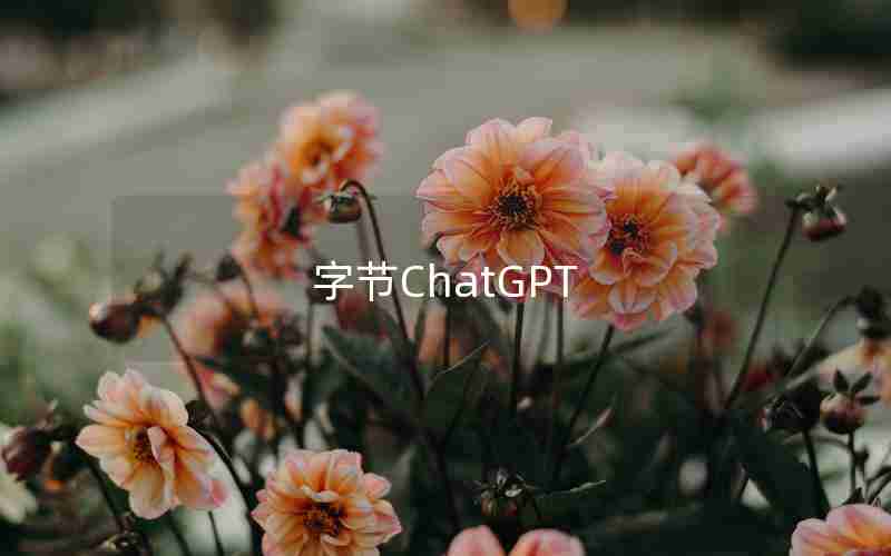 字节ChatGPT