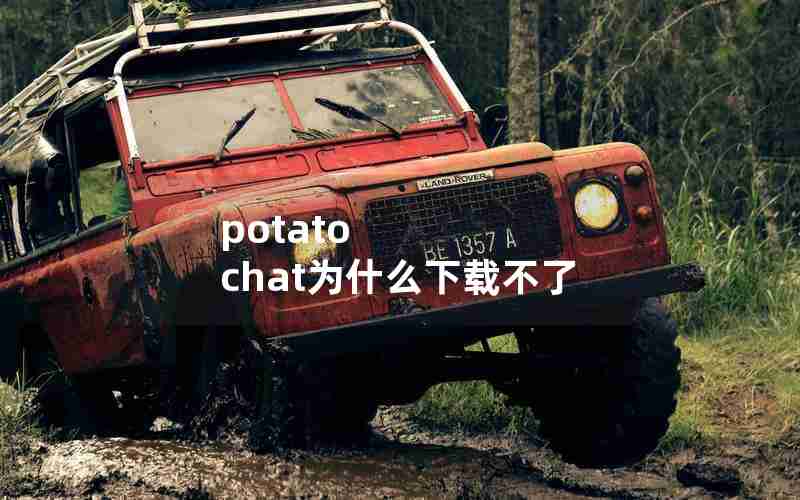 potato chat为什么下载不了