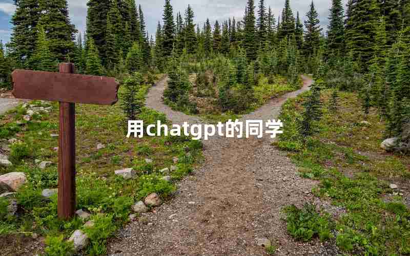 用chatgpt的同学