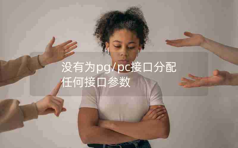 没有为pg/pc接口分配任何接口参数