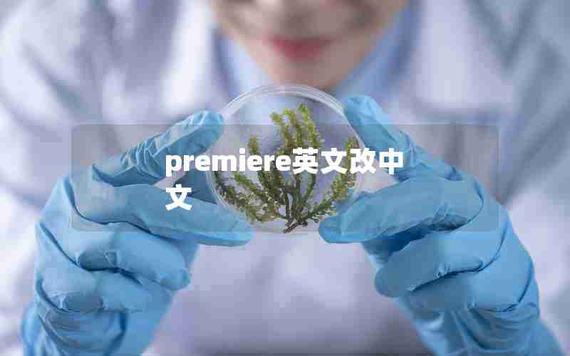 premiere英文改中文