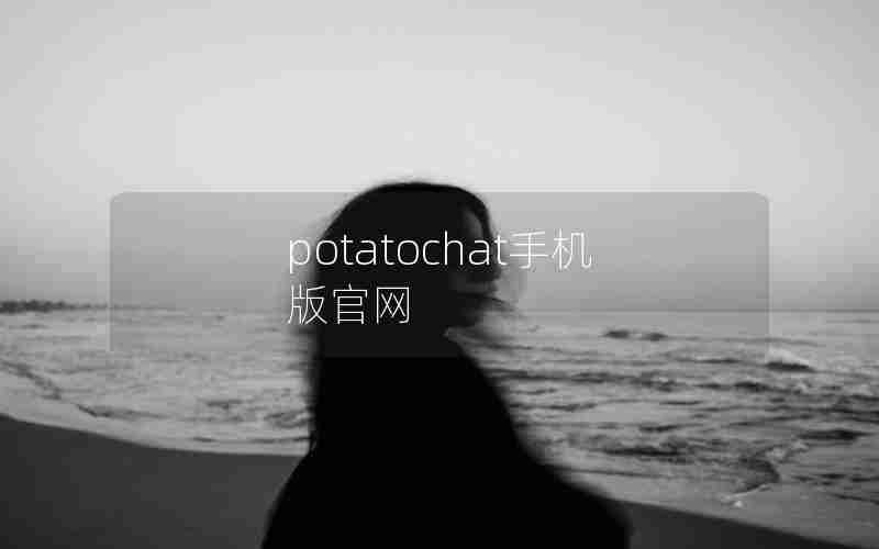 potatochat手机版官网