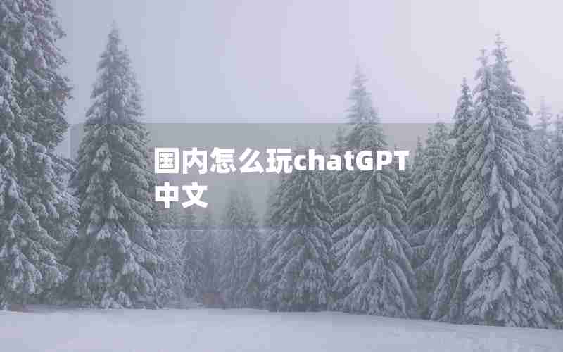 国内怎么玩chatGPT中文