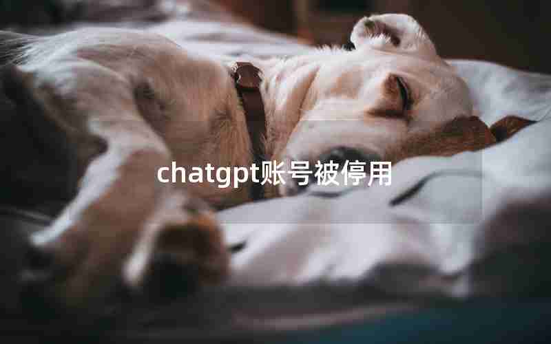 chatgpt账号被停用