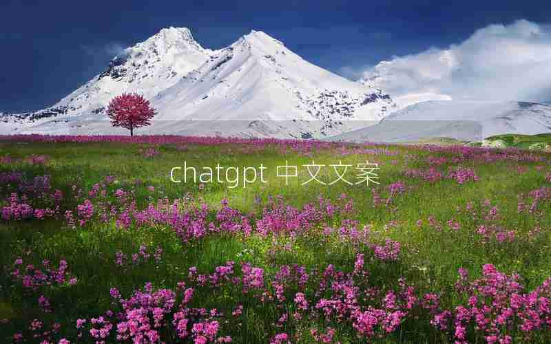 chatgpt 中文文案(中文加英文的文案)