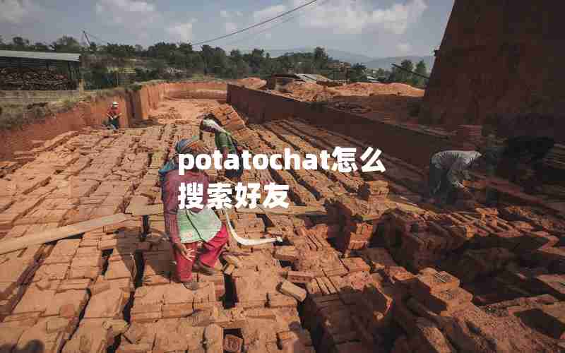 potatochat怎么搜索好友