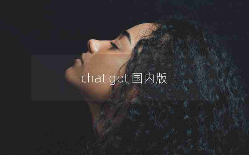 chat gpt 国内版